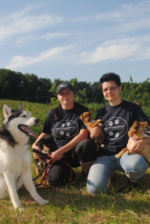 Bild vom siebten Hundetreffen