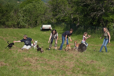 Bild vom siebten Hundetreffen