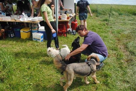 Bild vom achten Hundetreffen