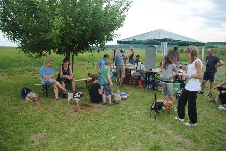 Bild vom achten Hundetreffen