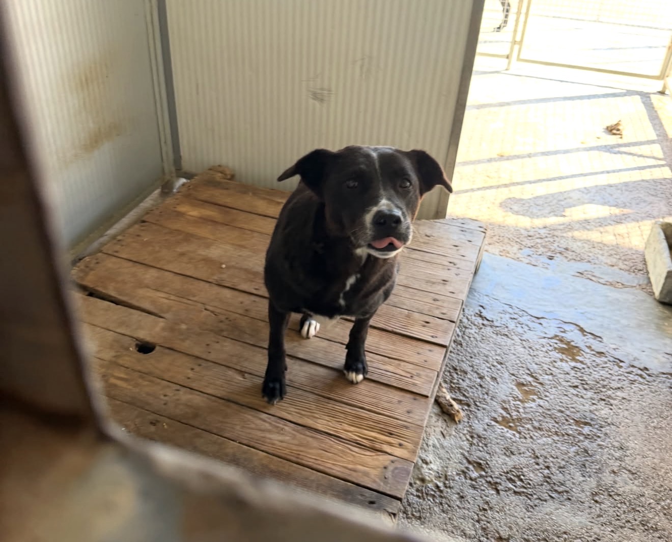 Brisa – Bild 3