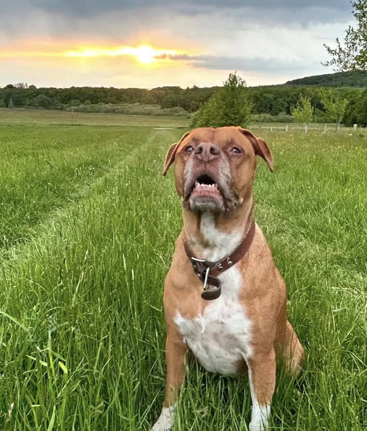 Cloe – Bild 2