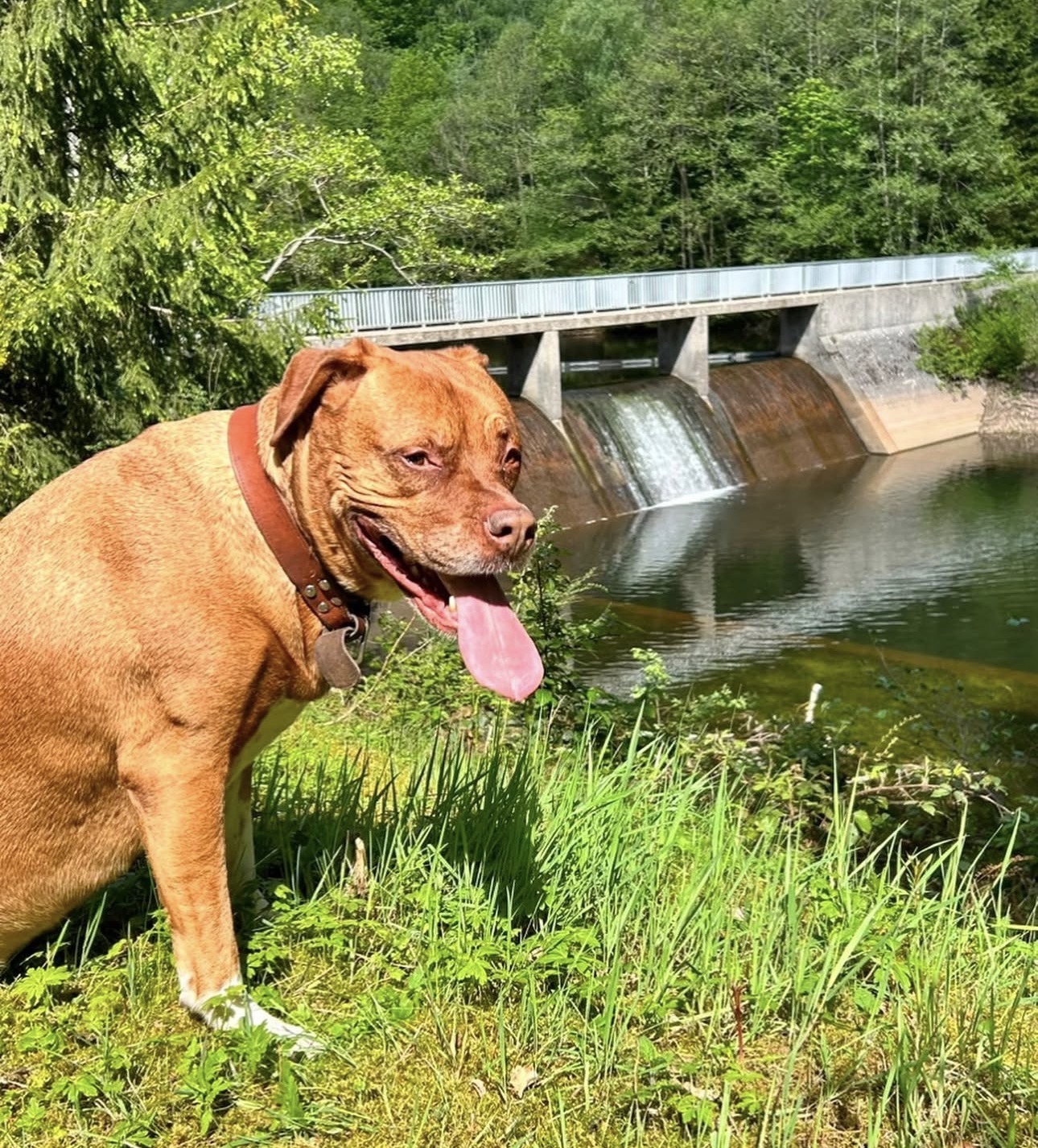 Cloe – Bild 3