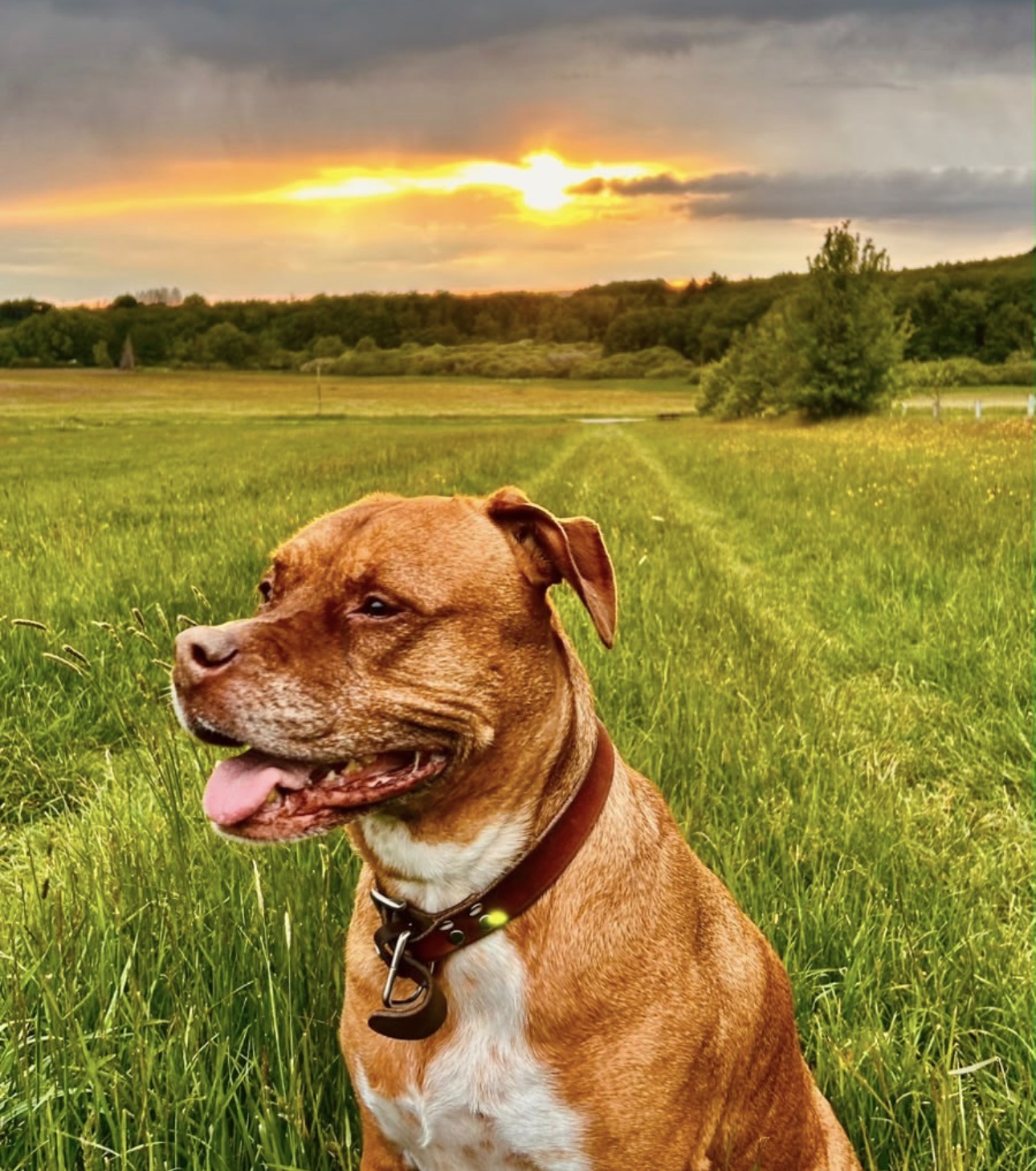Cloe – Bild 4