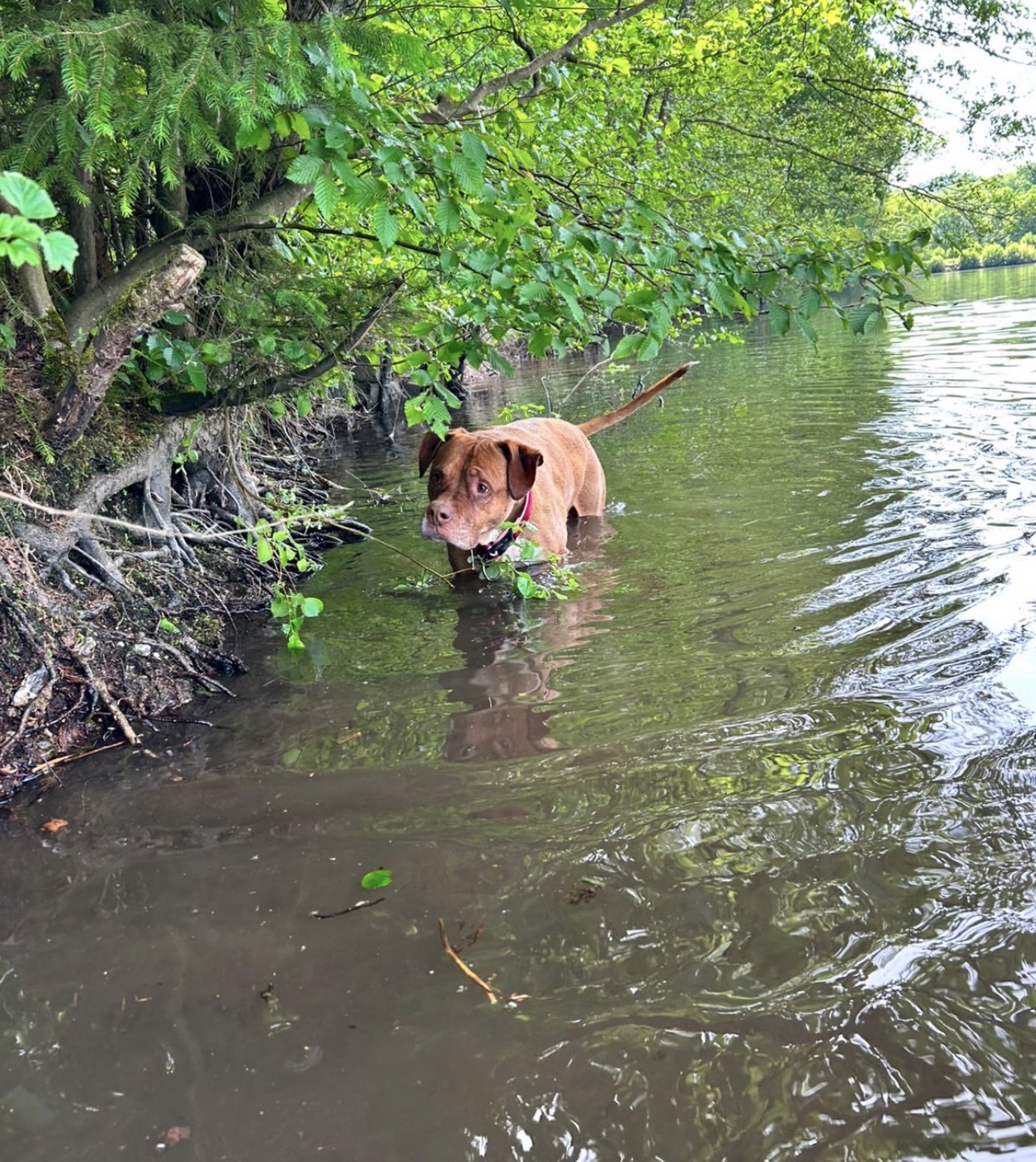 Cloe – Bild 5