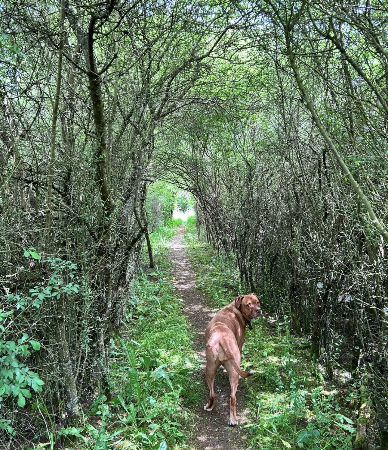 Cloe – Bild 6