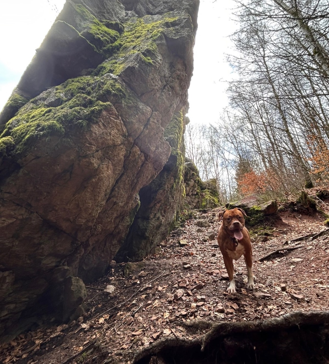 Cloe – Bild 7