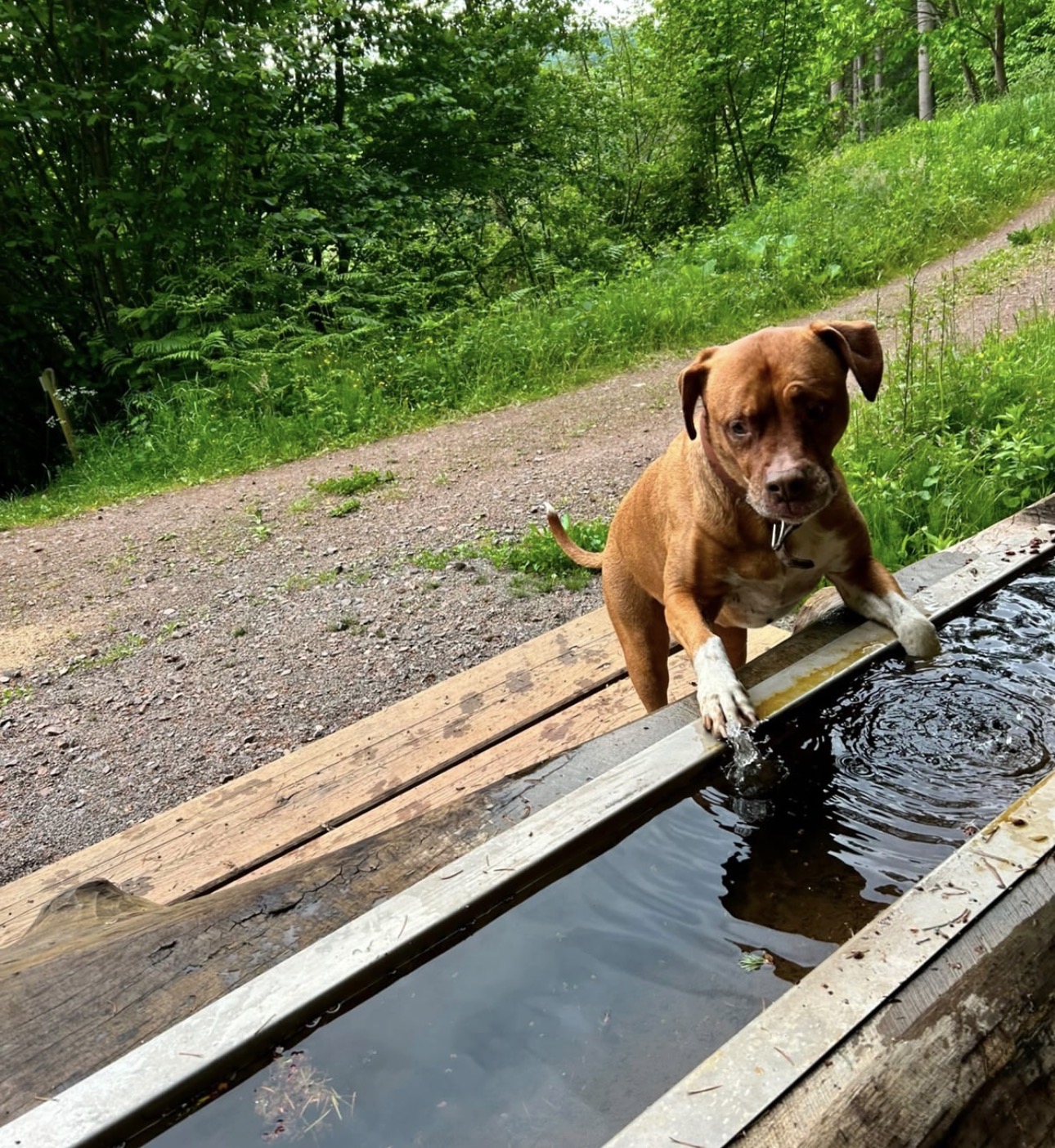 Cloe – Bild 8