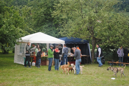 Bild vom zehnten Hundetreffen