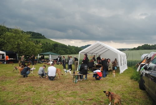 Bild vom zehnten Hundetreffen