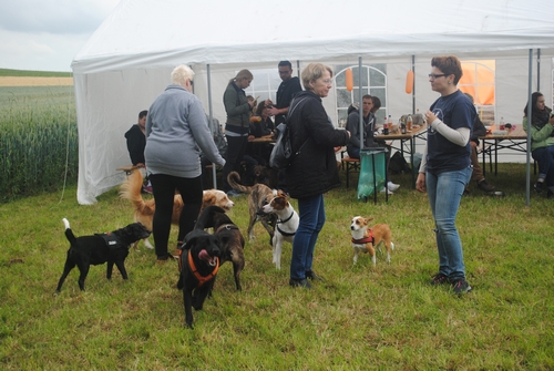 Bild vom zehnten Hundetreffen