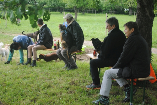 Bild vom zehnten Hundetreffen