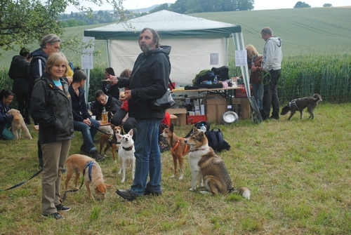 Bild vom zehnten Hundetreffen