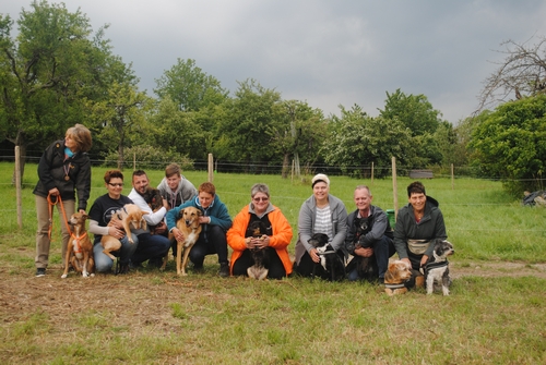 Bild vom zehnten Hundetreffen