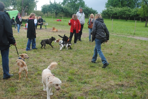 Bild vom zehnten Hundetreffen