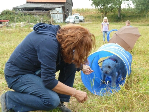 Bild vom elften Hundetreffen