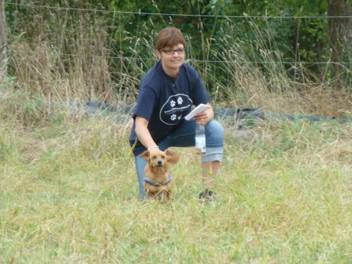 Bild vom elften Hundetreffen