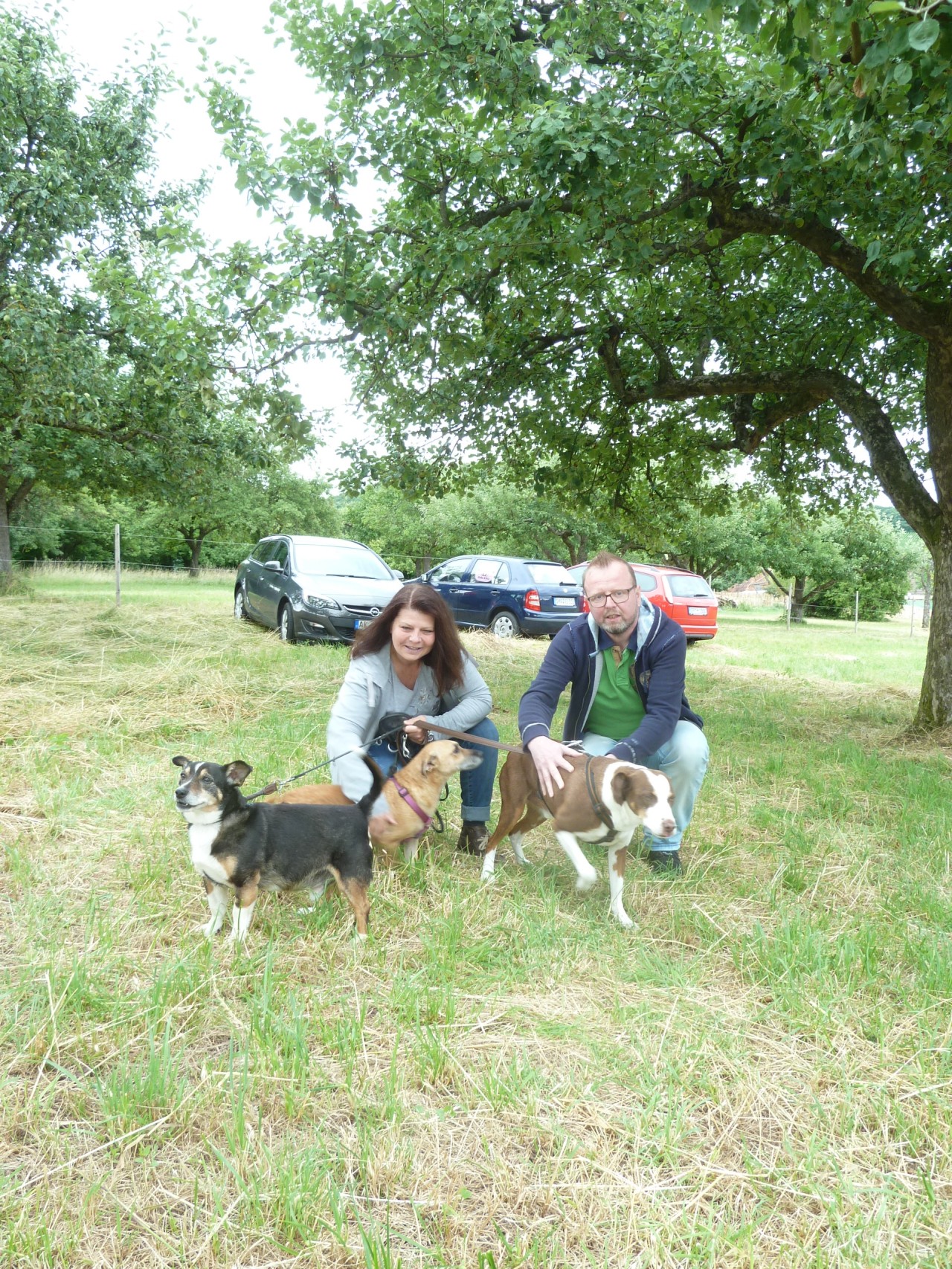 Bild vom zwölften Hundetreffen