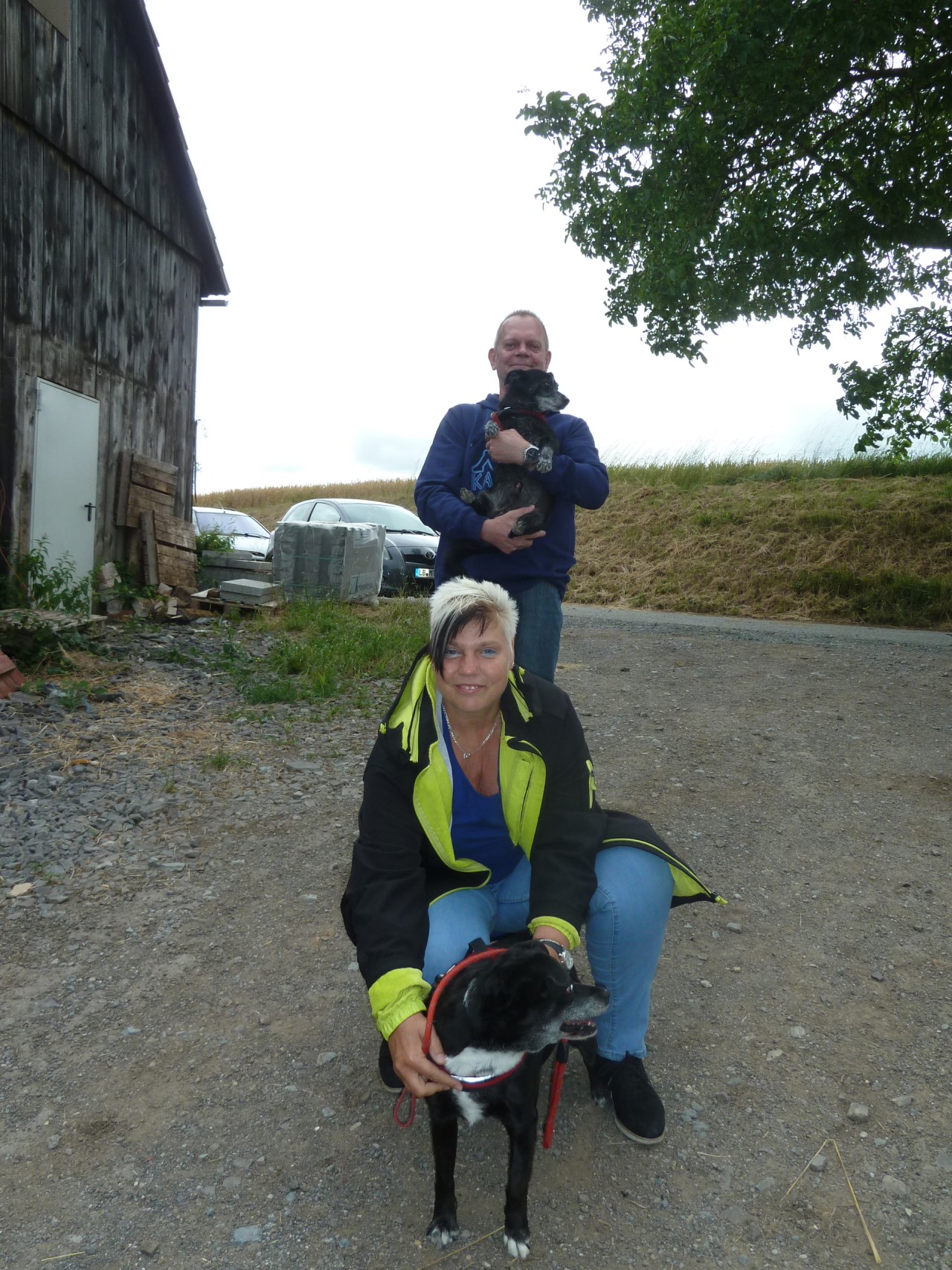 Bild vom zwölften Hundetreffen