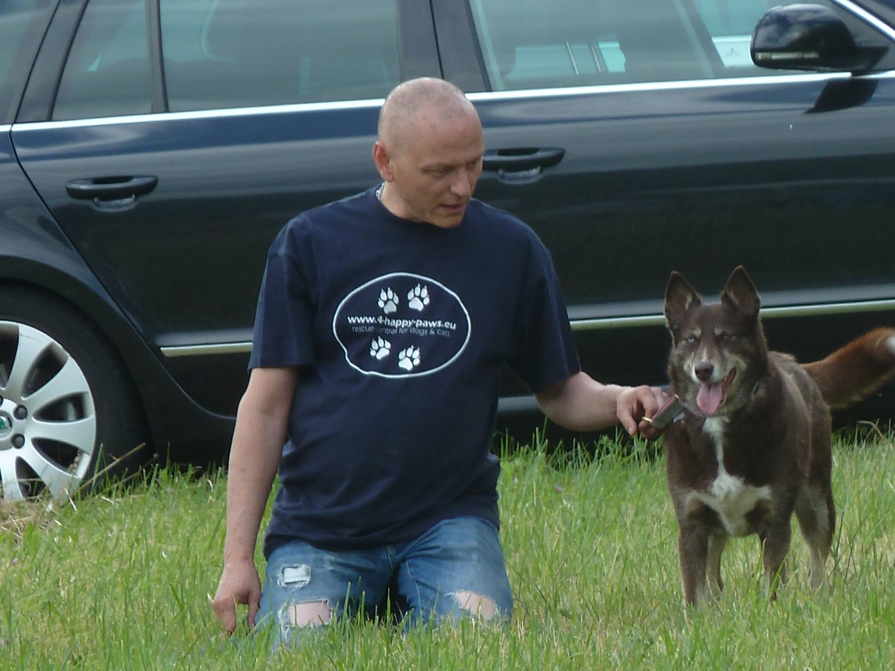 Bild vom zwölften Hundetreffen