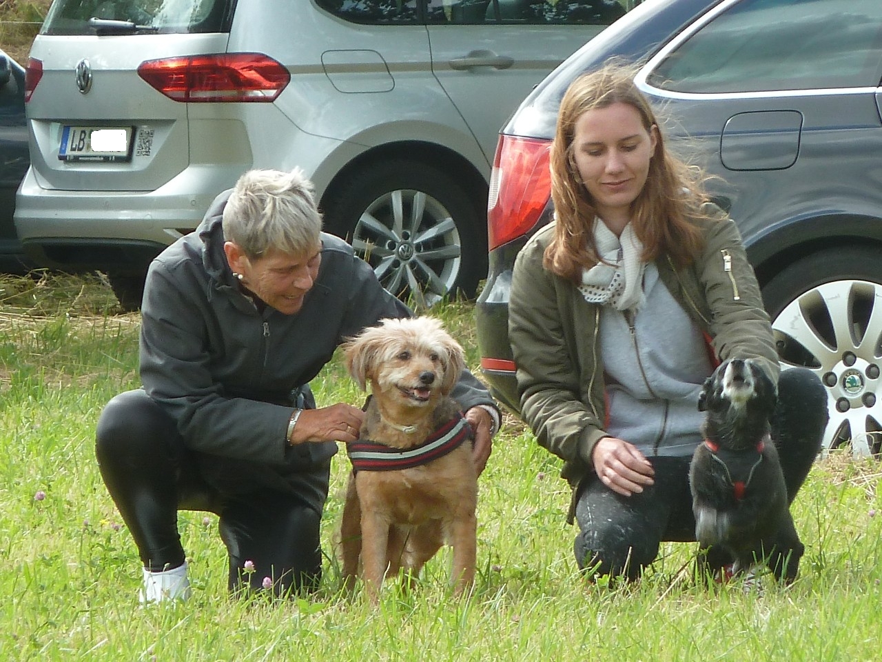 Bild vom zwölften Hundetreffen