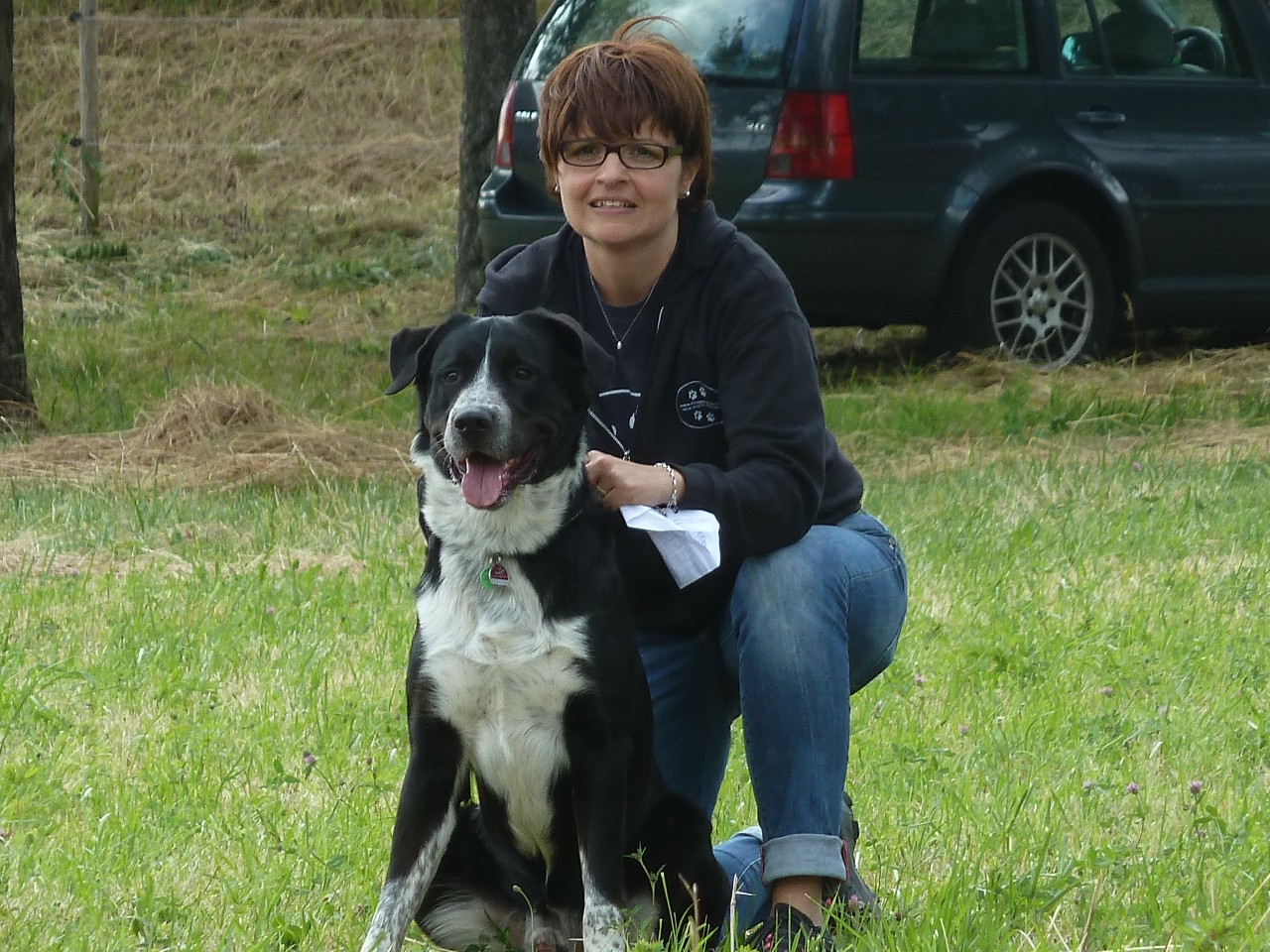 Bild vom zwölften Hundetreffen