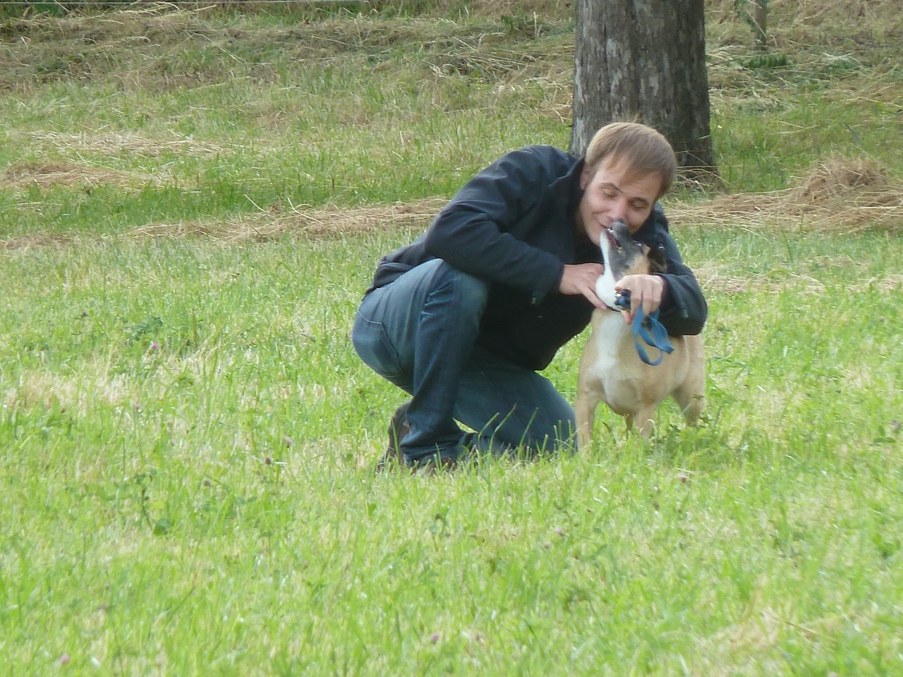 Bild vom zwölften Hundetreffen