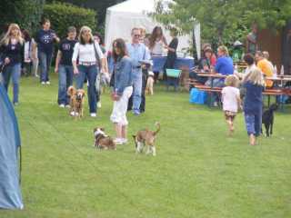 Bild vom ersten Hundetreffen