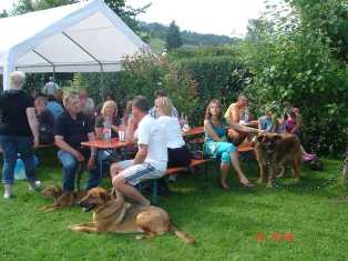 Bild vom zweiten Hundetreffen