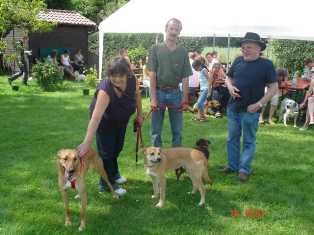 Bild vom zweiten Hundetreffen