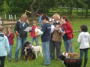 Bild vom fünften Hundetreffen