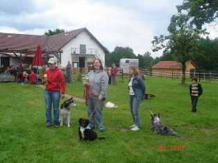 Bild vom fünften Hundetreffen