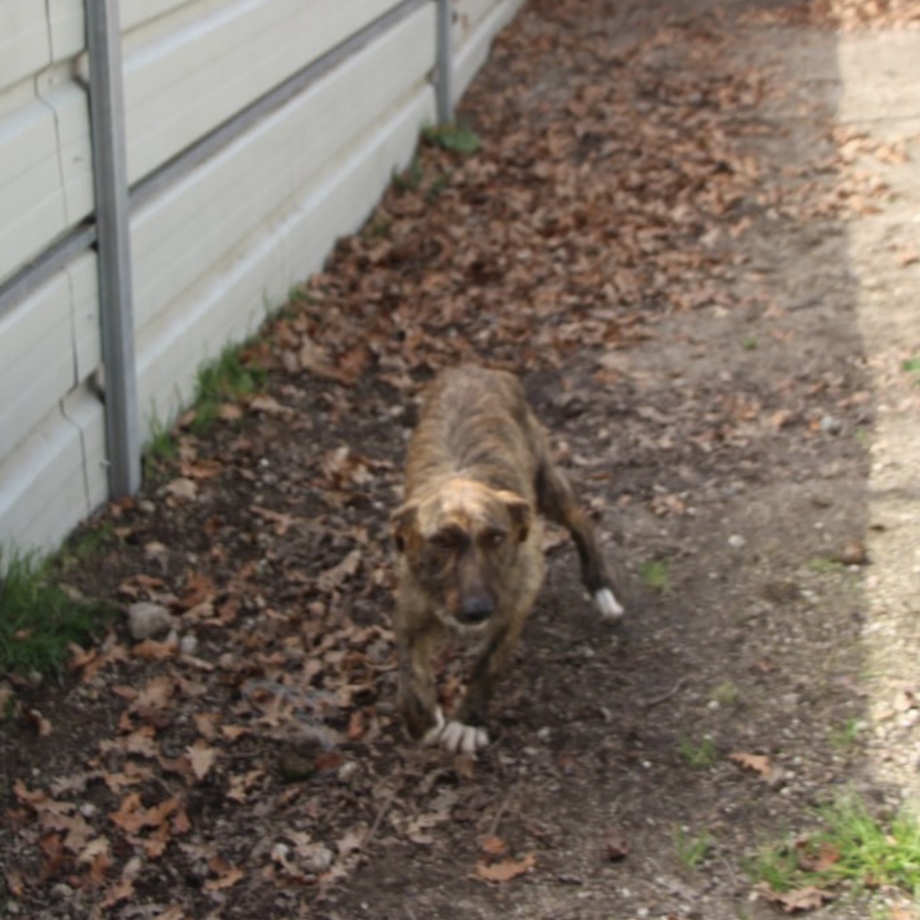 Juno – Bild 3