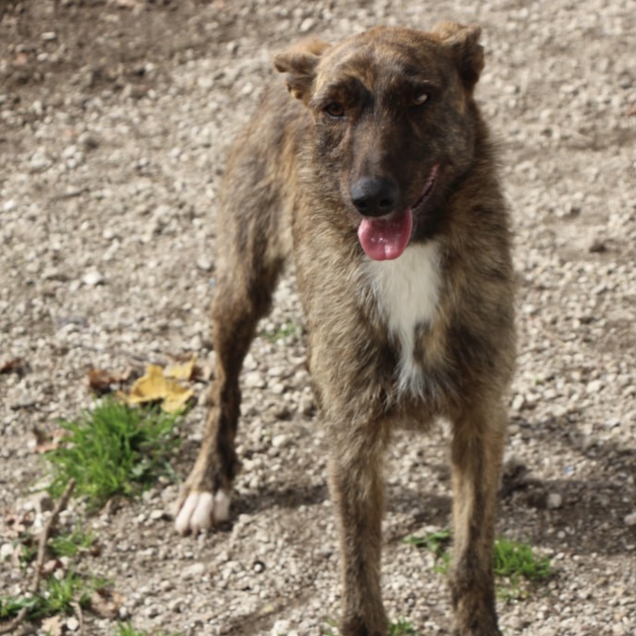 Juno – Bild 6