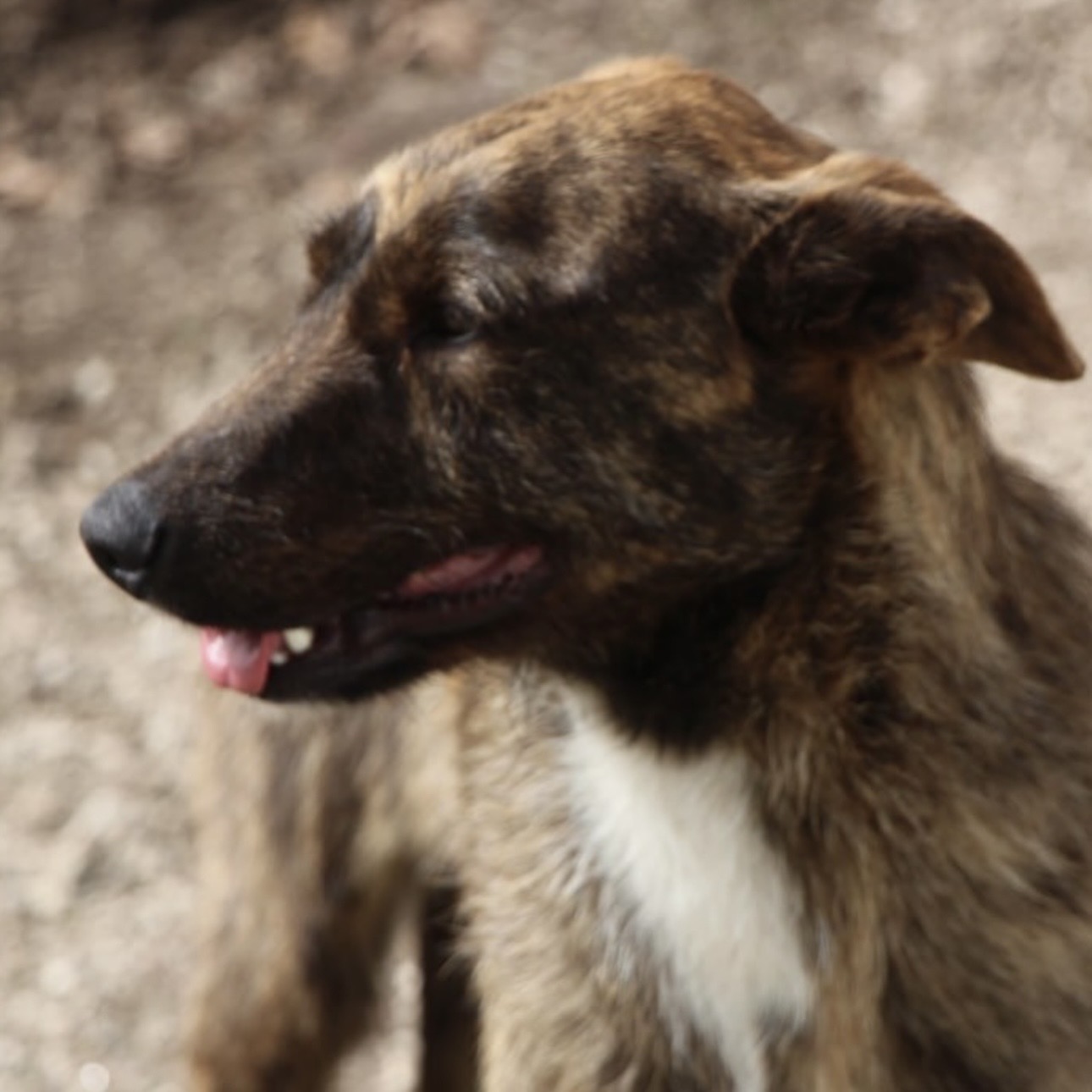 Juno – Bild 5