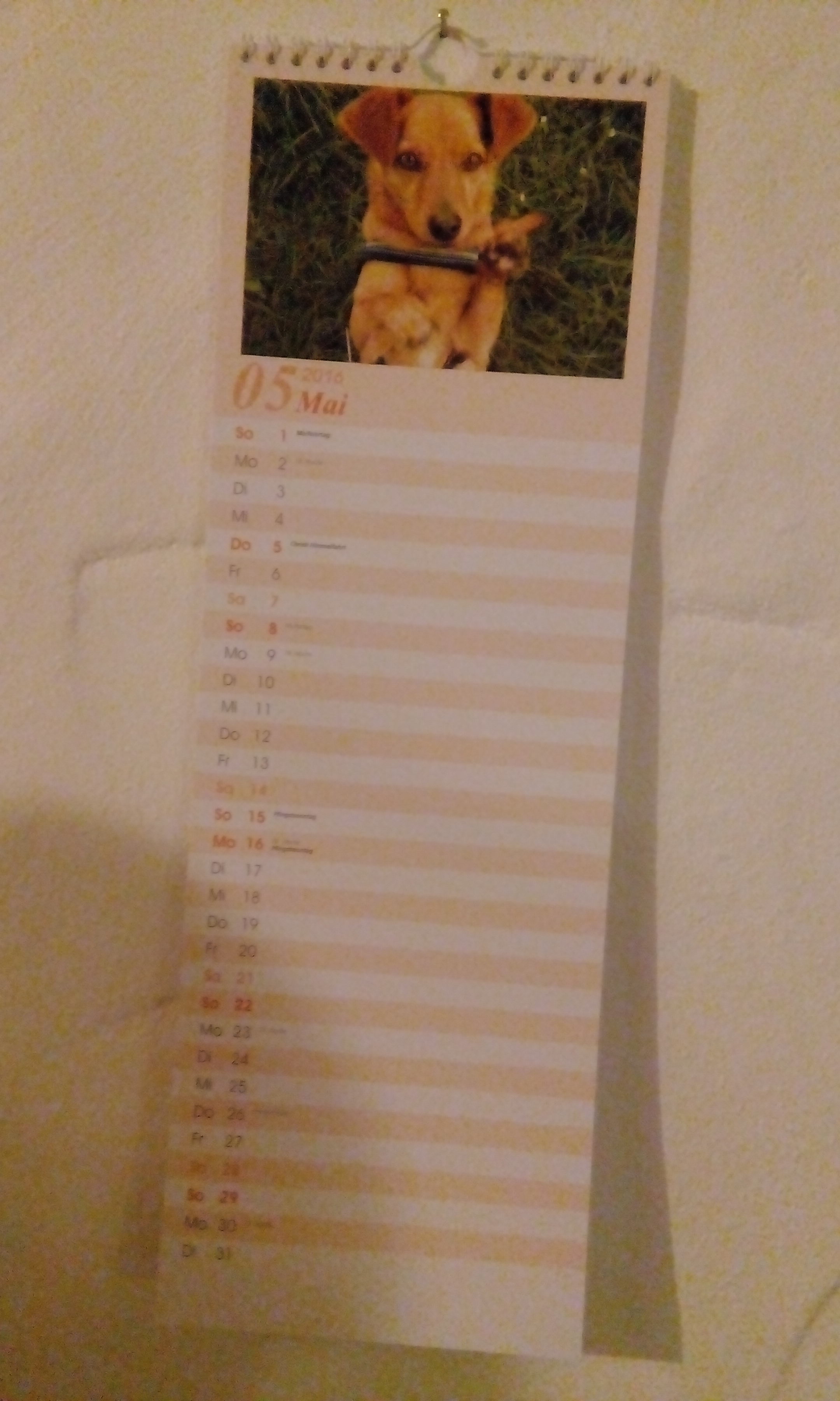Unser Kalender 2016