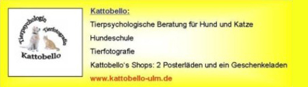 Kattobello