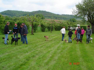 Bild von unserem vierten Hundetreffen