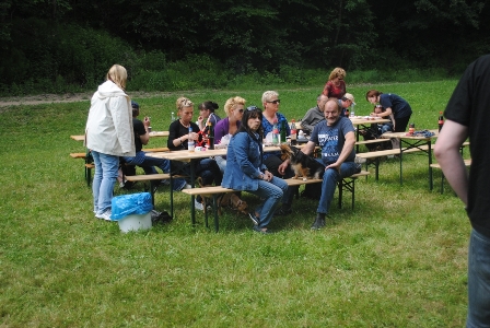 Bild vom sechsten Hundetreffen