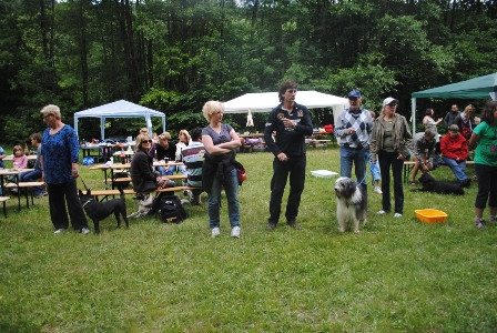 Bild vom sechsten Hundetreffen