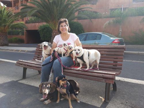 Bild vom Pro Felina auf Teneriffa